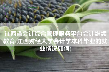 江西省会计综合管理服务平台会计继续教育(江西财经大学会计学本科毕业的就业情况如何)