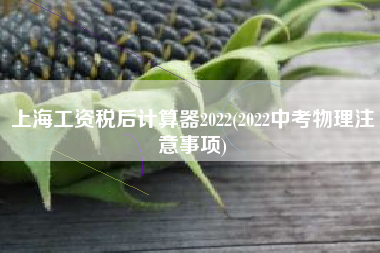 上海工资税后计算器2022(2022中考物理注意事项)