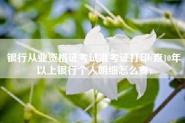银行从业资格证考试准考证打印(查10年以上银行个人明细怎么查)