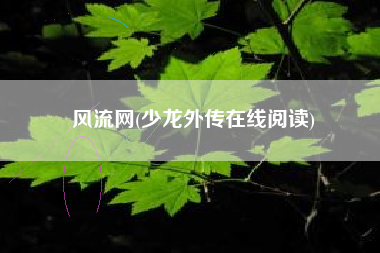风流网(少龙外传在线阅读)