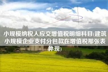 详细阅读:小规模纳税人应交增值税明细科目(建筑小规模企业支付分包款在增值税那张表体现) 小规模纳税人应交增值税明细科目(建筑小规模企业支付分包款在增值税那张表体现)