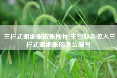 详细阅读:三栏式明细账做账图片(主营业务收入三栏式明细账的怎么填写) 三栏式明细账做账图片(主营业务收入三栏式明细账的怎么填写)