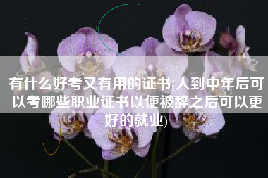 详细阅读:有什么好考又有用的证书(人到中年后可以考哪些职业证书以便被辞之后可以更好的就业) 有什么好考又有用的证书(人到中年后可以考哪些职业证书以便被辞之后可以更好的就业)