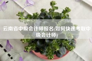 详细阅读:云南省中级会计师报名(如何快速考取中级会计师) 云南省中级会计师报名(如何快速考取中级会计师)