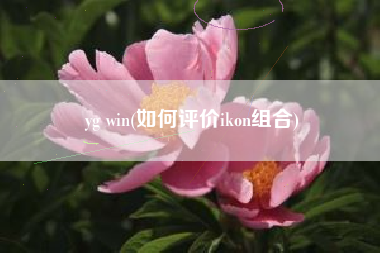 详细阅读:yg win(如何评价ikon组合) yg win(如何评价ikon组合)