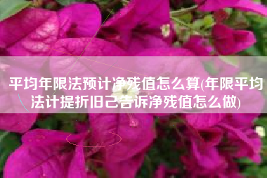 详细阅读:平均年限法预计净残值怎么算(年限平均法计提折旧己告诉净残值怎么做) 平均年限法预计净残值怎么算(年限平均法计提折旧己告诉净残值怎么做)