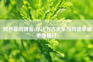 详细阅读:刘亦菲的博客(你认为古天乐与刘德华谁更像杨过) 刘亦菲的博客(你认为古天乐与刘德华谁更像杨过)