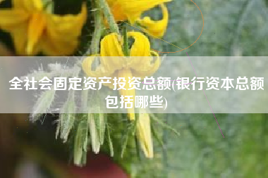 详细阅读:全社会固定资产投资总额(银行资本总额包括哪些) 全社会固定资产投资总额(银行资本总额包括哪些)