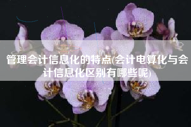 详细阅读:管理会计信息化的特点(会计电算化与会计信息化区别有哪些呢) 管理会计信息化的特点(会计电算化与会计信息化区别有哪些呢)