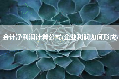 详细阅读:会计净利润计算公式(企业利润如何形成) 会计净利润计算公式(企业利润如何形成)