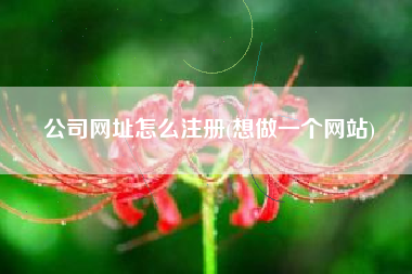 公司网址怎么注册(想做一个网站)