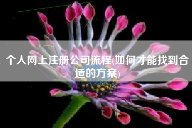 个人网上注册公司流程(如何才能找到合适的方案)