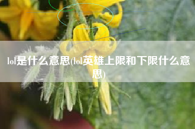 lol是什么意思(lol英雄上限和下限什么意思)