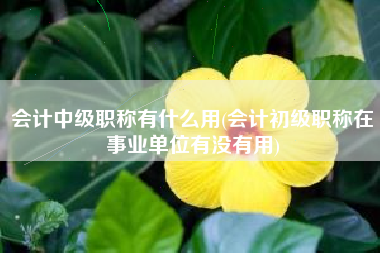 详细阅读:会计中级职称有什么用(会计初级职称在事业单位有没有用) 会计中级职称有什么用(会计初级职称在事业单位有没有用)
