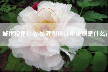 详细阅读:城建税是什么(城建税的计税依据是什么) 城建税是什么(城建税的计税依据是什么)