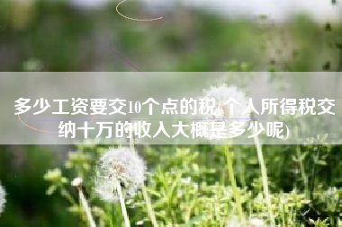 多少工资要交10个点的税(个人所得税交纳十万的收入大概是多少呢)