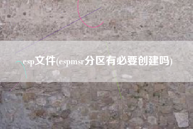esp文件(espmsr分区有必要创建吗)