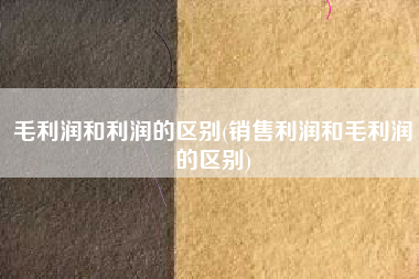 毛利润和利润的区别(销售利润和毛利润的区别)