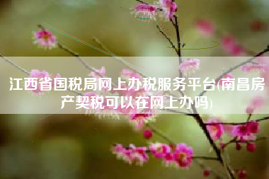 江西省国税局网上办税服务平台(南昌房产契税可以在网上办吗)