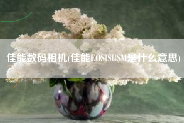 佳能数码相机(佳能EOSISUSM是什么意思)