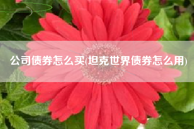 公司债券怎么买(坦克世界债券怎么用)