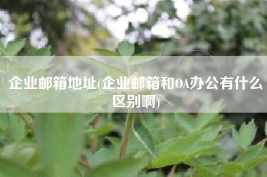 企业邮箱地址(企业邮箱和OA办公有什么区别啊)