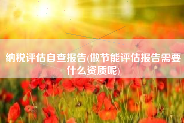 纳税评估自查报告(做节能评估报告需要什么资质呢)