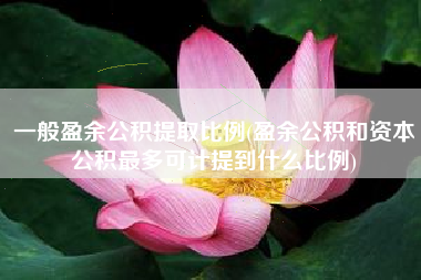 一般盈余公积提取比例(盈余公积和资本公积最多可计提到什么比例)