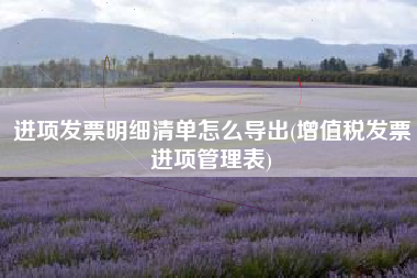 进项发票明细清单怎么导出(增值税发票进项管理表)