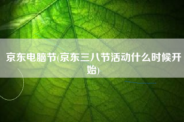 京东电脑节(京东三八节活动什么时候开始)