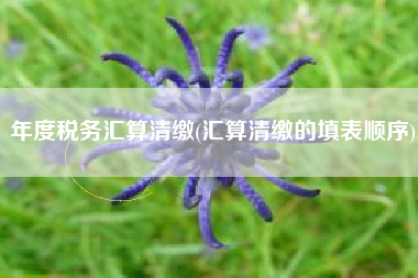 年度税务汇算清缴(汇算清缴的填表顺序)