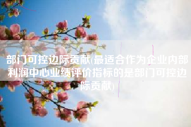 部门可控边际贡献(最适合作为企业内部利润中心业绩评价指标的是部门可控边际贡献)