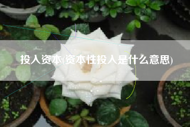 投入资本(资本性投入是什么意思)