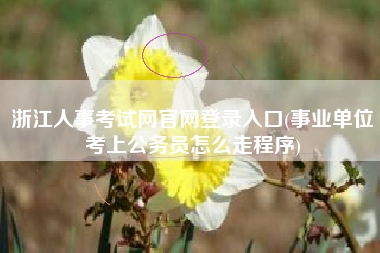 浙江人事考试网官网登录入口(事业单位考上公务员怎么走程序)