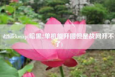 详细阅读:d2hackmap(暗黑2单机能开图但是战网开不了) d2hackmap(暗黑2单机能开图但是战网开不了)