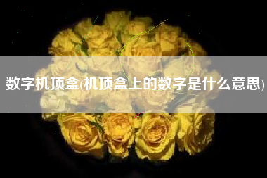 数字机顶盒(机顶盒上的数字是什么意思)
