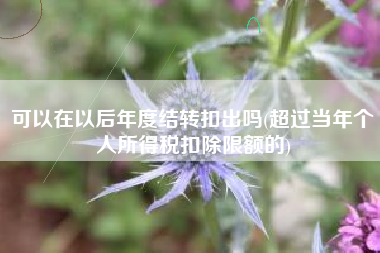 可以在以后年度结转扣出吗(超过当年个人所得税扣除限额的)