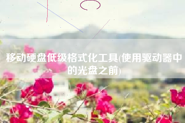 移动硬盘低级格式化工具(使用驱动器中的光盘之前)