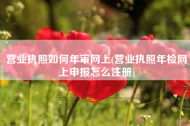 营业执照如何年审网上(营业执照年检网上申报怎么注册)