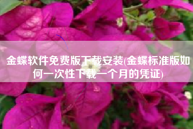 金蝶软件免费版下载安装(金蝶标准版如何一次性下载一个月的凭证)