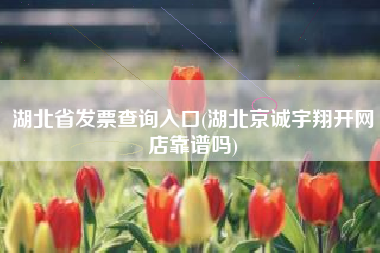 湖北省发票查询入口(湖北京诚宇翔开网店靠谱吗)