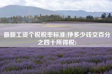 最新工资个税税率标准(挣多少钱交百分之四十所得税)