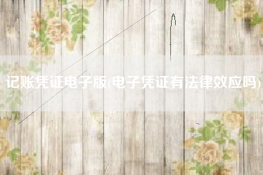 记账凭证电子版(电子凭证有法律效应吗)
