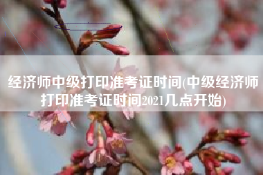 经济师中级打印准考证时间(中级经济师打印准考证时间2021几点开始)