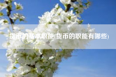 货币的基本职能(货币的职能有哪些)