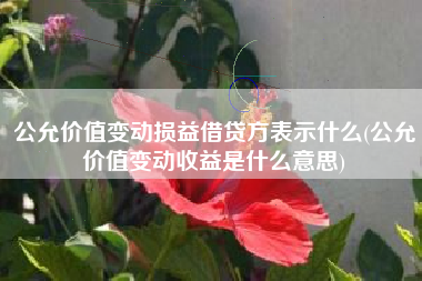 公允价值变动损益借贷方表示什么(公允价值变动收益是什么意思)