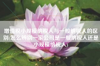 详细阅读:增值税小规模纳税人与一般纳税人的区别(怎么辨别一家公司是一般纳税人还是小规模纳税人) 增值税小规模纳税人与一般纳税人的区别(怎么辨别一家公司是一般纳税人还是小规模纳税人)