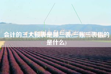 详细阅读:会计的三大报表是哪三表(三账三表指的是什么) 会计的三大报表是哪三表(三账三表指的是什么)