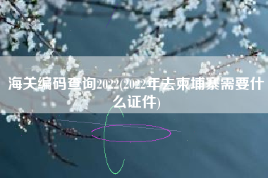 海关编码查询2022(2022年去柬埔寨需要什么证件)