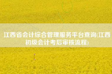 江西省会计综合管理服务平台查询(江西初级会计考后审核流程)